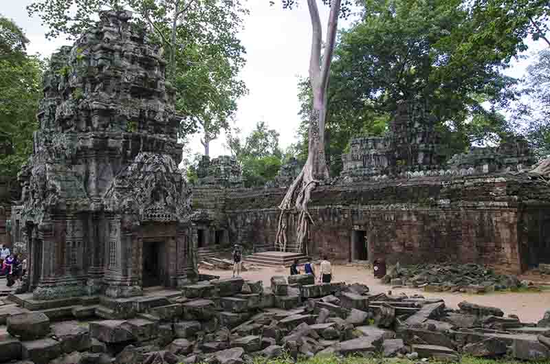 90 - Camboya - Angkor - templo de Ta Prohm